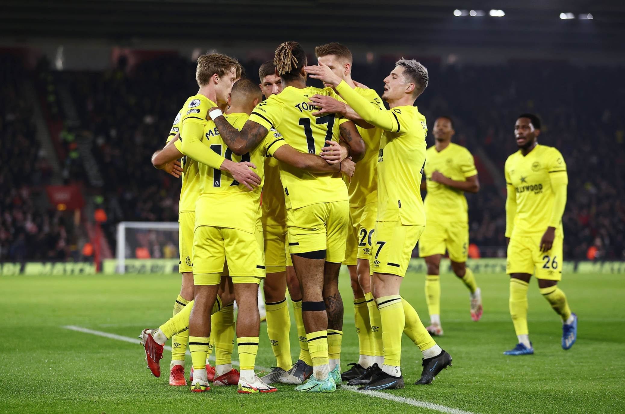 本菲卡的坚 本菲卡的坚